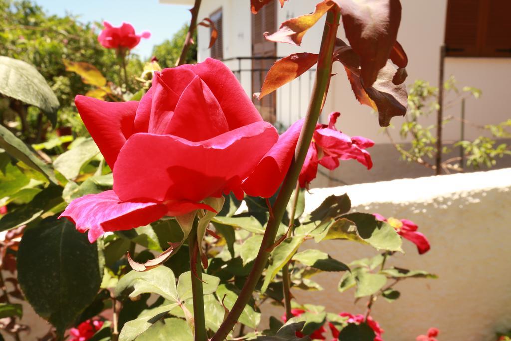 Stoúpa Maistreli Hotel Apartments المظهر الخارجي الصورة